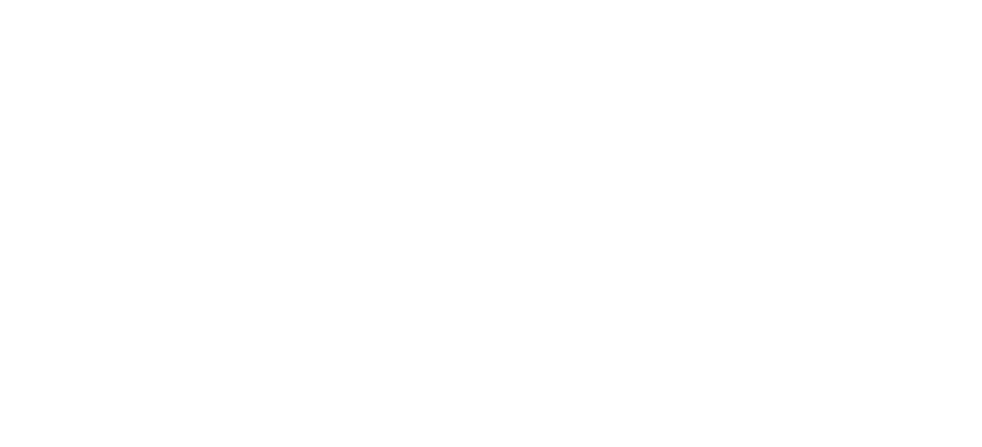 WBS Logo